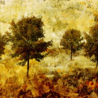 Buy canvas prints of Four Trees by John Edwards
