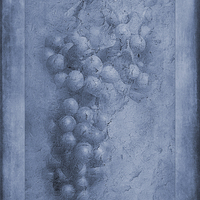 Buy canvas prints of Vitis Cyanotype by John Edwards