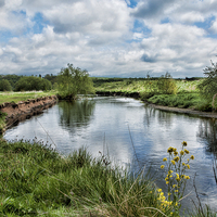 Buy canvas prints of River Tame, North Warwickshire by John Edwards