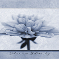 Buy canvas prints of Dahlia pinnata Cyanotype by John Edwards
