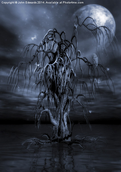 The Tree of Sawols Cyanotype Picture Board by John Edwards