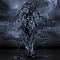Buy canvas prints of The Tree of Sawols Cyanotype by John Edwards
