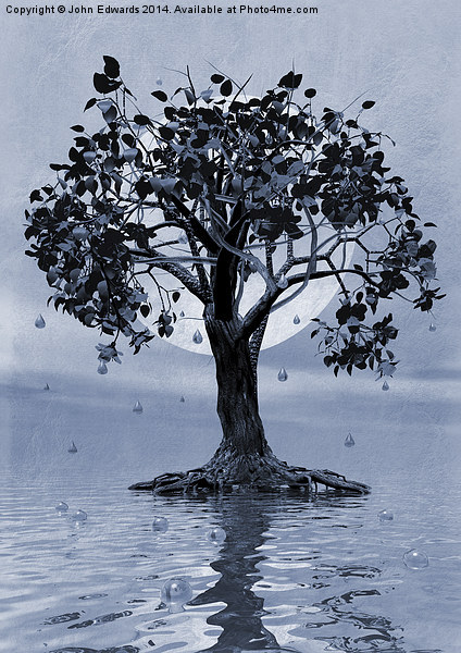 The Tree that Wept a Lake of Tears Picture Board by John Edwards
