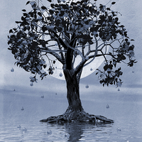 Buy canvas prints of The Tree that Wept a Lake of Tears by John Edwards
