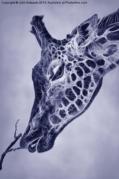 Fractal Giraffe Duotone Picture Board by John Edwards