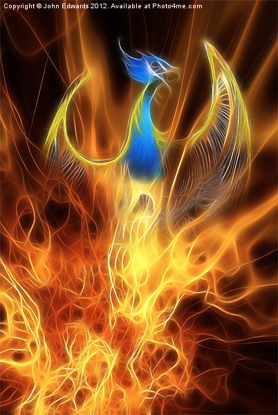 The Phoenix rises from the ashes Picture Board by John Edwards