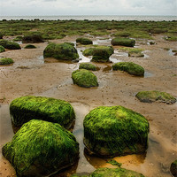 Buy canvas prints of Carstone Rocks, Hunstanton beach, Norfolk by John Edwards