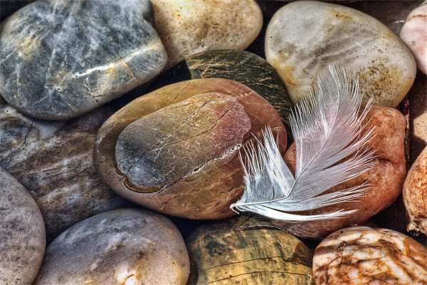 Feather and Pebbles Picture Board by John Edwards