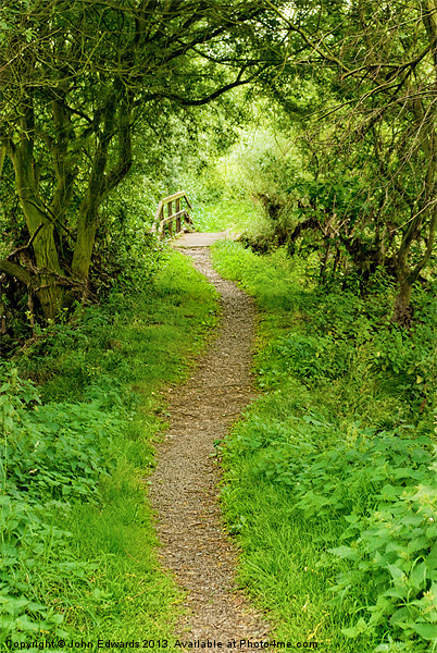 The Path to Willow Bridge Picture Board by John Edwards