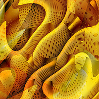 Buy canvas prints of Abstract Honeycomb by John Edwards