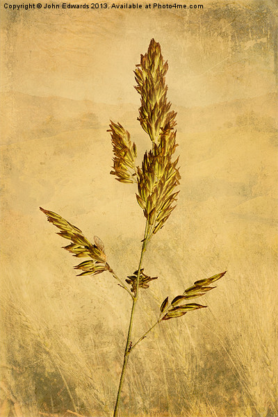 Meadow Grass Picture Board by John Edwards