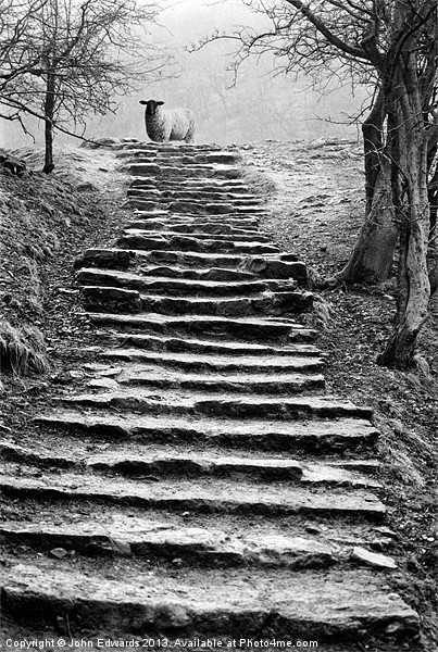 Dovedale steps Picture Board by John Edwards