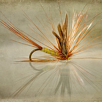 Buy canvas prints of Greenwells Glory Dry Fly by John Edwards