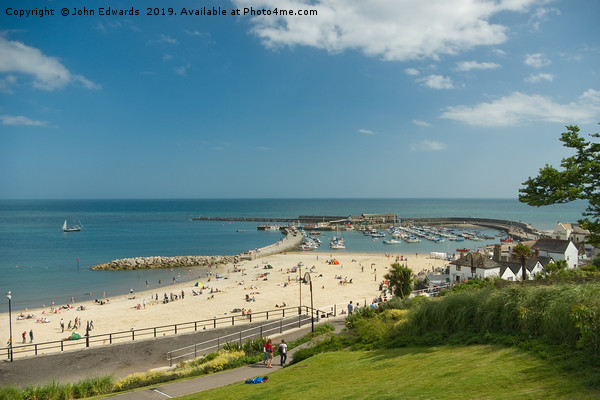 Lyme Regis Beach and Harbour, Dorset Picture Board by John Edwards