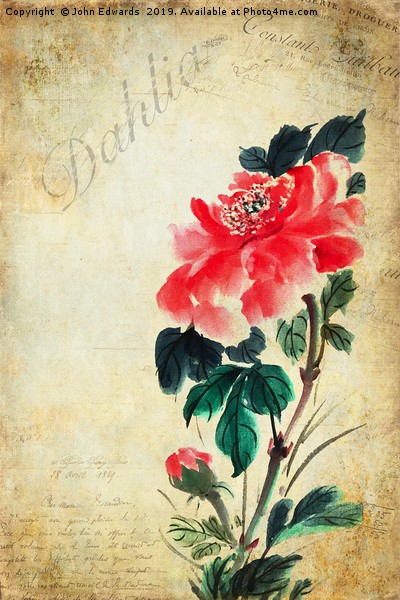 Dahlia Picture Board by John Edwards