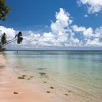 Buy canvas prints of Deserted beach, Tobago by John Edwards
