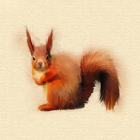 Buy canvas prints of Red Squirrel (Sciurus vulgaris)   by John Edwards