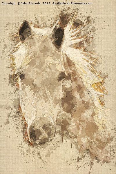 Pony  Picture Board by John Edwards