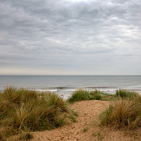 Buy canvas prints of Marram and the sea by John Edwards
