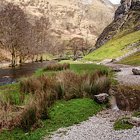 Buy canvas prints of The River Dove, Dovedale  by John Edwards