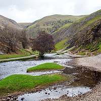 Buy canvas prints of Islands in the stream, Dovedale by John Edwards