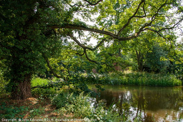 Tree Shaded Pool, Middleton, Warwickshire  Picture Board by John Edwards