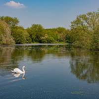 Buy canvas prints of Cliff Pool South, Kingsbury by John Edwards