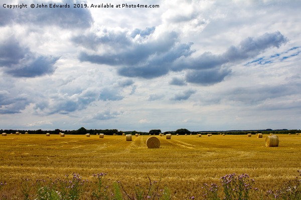 Harvest time at Sandringham Picture Board by John Edwards