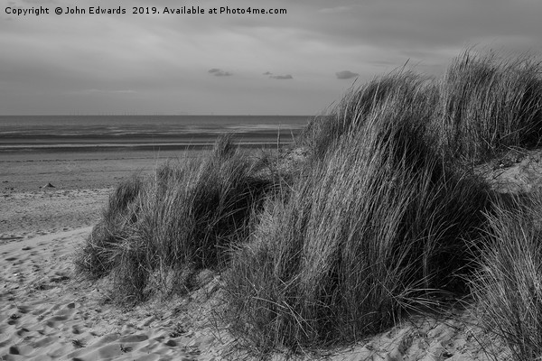 Marram Grass on The Wash Picture Board by John Edwards