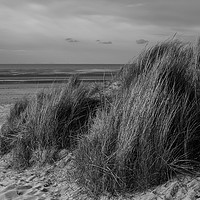 Buy canvas prints of Marram Grass on The Wash by John Edwards