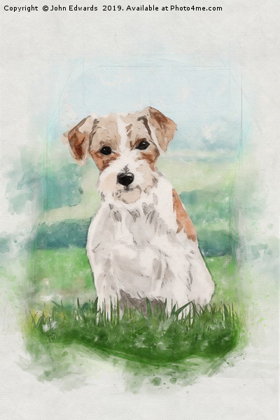 Playful and Hardy: A Jack Russell Terrier Picture Board by John Edwards