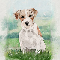 Buy canvas prints of Playful and Hardy: A Jack Russell Terrier by John Edwards