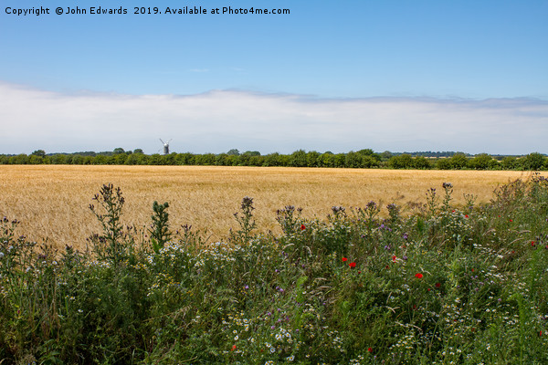 Wheat field, Great Bircham Picture Board by John Edwards
