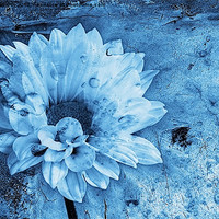 Buy canvas prints of Iced Blue by John Edwards