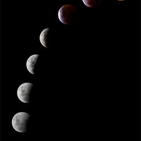 Buy canvas prints of Lunar Eclipse by Sharpimage NET