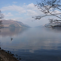 Buy canvas prints of  Lochness Scotland by Reuben Allfree