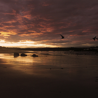 Buy canvas prints of  Sunset over beach in North Berwick by David Irving