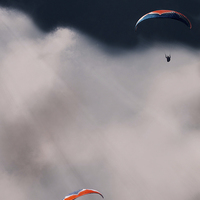 Buy canvas prints of  Paragliders by David Irving