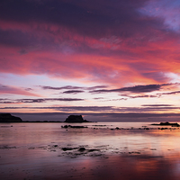 Buy canvas prints of Sunrise over the Island of Fidra East Lothian  by David Irving