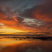 Buy canvas prints of Sunrise over the Island of Craglieth and Bass Rock by David Irving