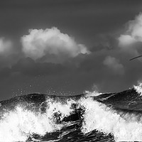 Buy canvas prints of Wind and Sea by David Irving
