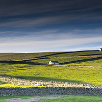 Buy canvas prints of Dry Stone Walls by David Irving