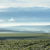 Buy canvas prints of  Frosty South Downs by Callum Aitken