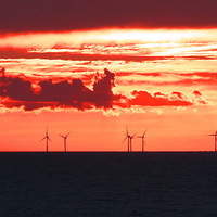 Buy canvas prints of Red sunset over Thanet wind farm on a carm summer  by Alan Glicksman
