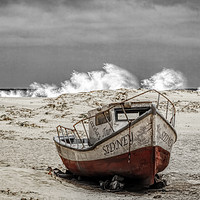 Buy canvas prints of Beached by David Smith
