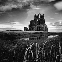 Buy canvas prints of Gothic Abbey by David Smith