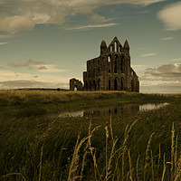 Buy canvas prints of The Gothic Beauty Of Whitby Abbey by David Smith