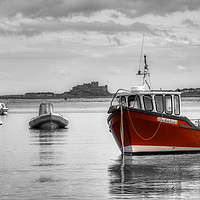 Buy canvas prints of Holy Island Harbour by David Smith