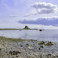 Buy canvas prints of Lindisfarne Castle from across the harbour by David Smith
