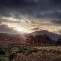 Buy canvas prints of Mourne Country by Eamon Fitzpatrick